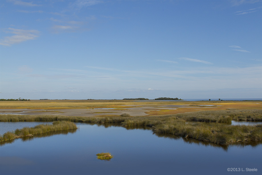 St Marks NWR