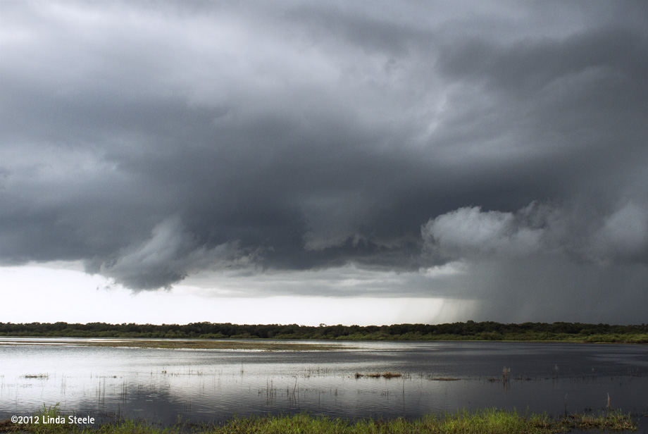 Summer rainstorm at Upper Myakka Lake