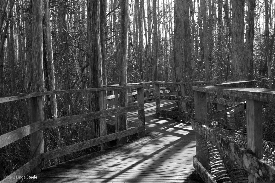 boardwalk