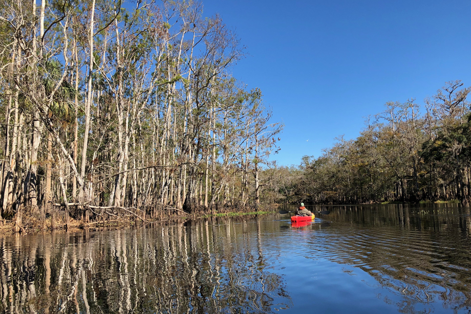 Fisheating Creek